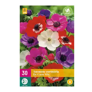 Anemone De Caen Mix 30st