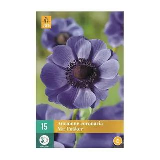 Anemone Mr. Fokker - 15 bloembollen