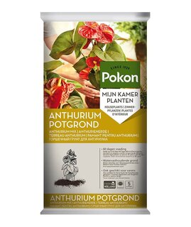 Anthurium Potgrond 5L