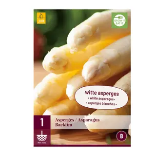 Asparagus Backlim 1st