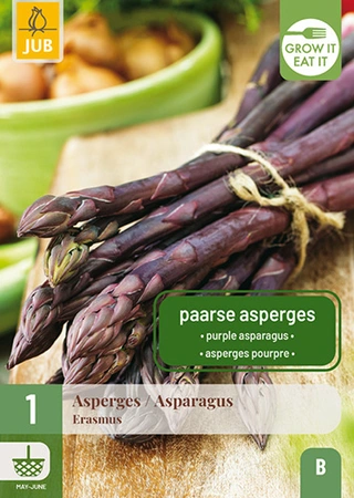 Asparagus Erasmus 1st