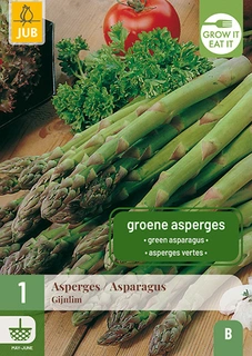 Asparagus Gijnlim (groen) 1st