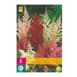 Astilbe Mix 3st