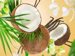 Autoparfum navulling Coco Monoï / Coconut Monoi - 2 stuks - afbeelding 2