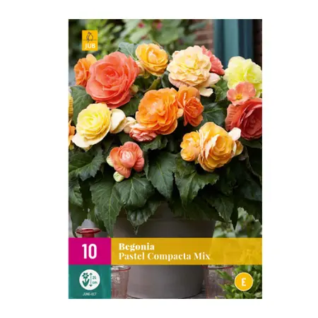 Begonia Pastel Compacta Mix 10st