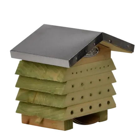 Bijenhuis hout - afbeelding 5