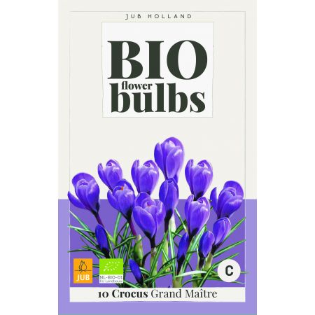 Bio Crocus Grand Maitre - 10 bloembollen