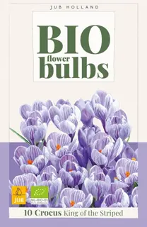 Bio Crocus King Of The Striped - 10 bloembollen