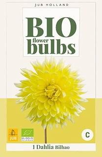 Bio Dahlia Bilbao 1st
