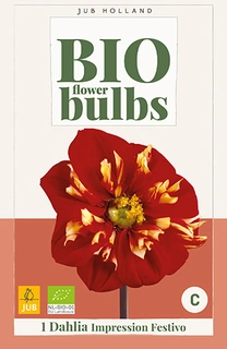 Bio Dahlia Impression Festivo 1st