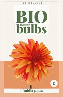 Bio Dahlia Jablou 1st