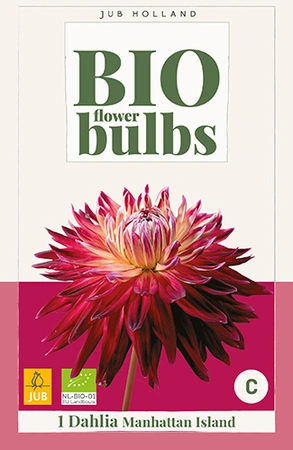 Bio Dahlia Manhattan Island 1st