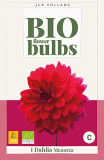 Bio Dahlia Menorca 1st