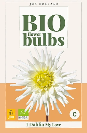 Bio Dahlia My Love 1st