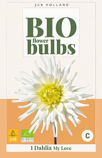 Bio Dahlia My Love 1st