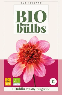 Bio Dahlia Totally Tangerin 1st