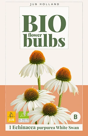 Bio Echinacea Purpurea White Swan 1st