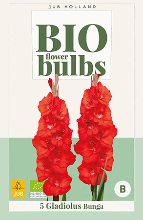Bio Gladiolus Bunga 5st