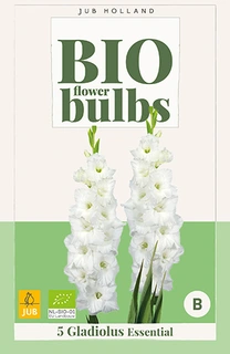 Bio Gladiolus Essential 5st