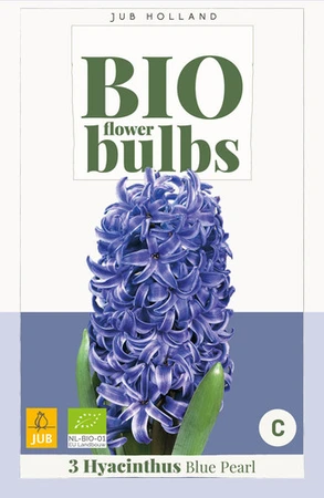Bio Hyacinthus Blue Pearl - 3 bloembollen