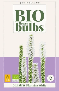Bio Liatris Floristan White 5st