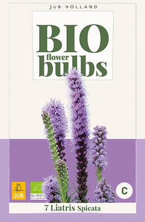 Bio Liatris Spicata 7st