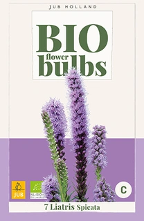 Bio Liatris Spicata 7st
