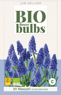 Bio Muscari armeniacum - 10 bloembollen