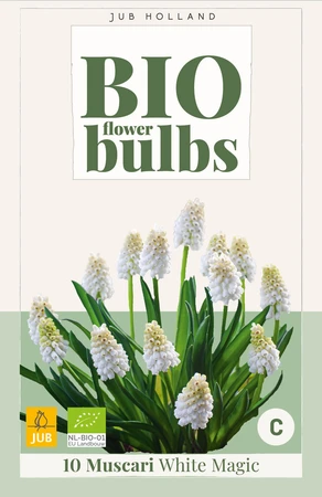Bio Muscari White Magic - 10 bloembollen