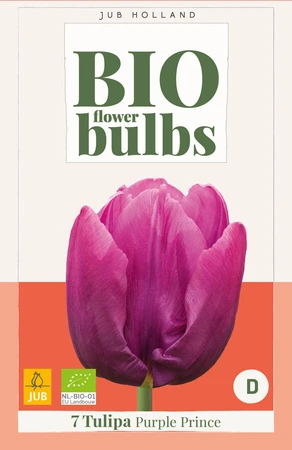 Bio Tulipa Purple Prince - 7 bloembollen