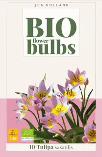 Biologische tulpenbollen 'Saxatilis' - 10 stuks