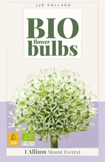 Biologische alliumbol 'Mount Everest' - 1 stuk