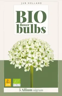 Biologische alliumbollen 'Nigrum' - 5 stuks