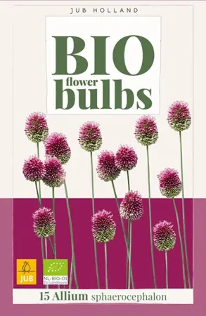 Biologische alliumbollen 'Sphaerocephalon' - 15 stuks