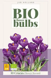 Biologische krokusbollen 'Flower Record'- 10 stuks
