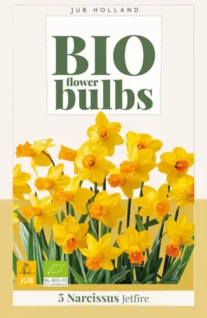 Biologische narcissenbollen 'Jetfire' - 5 stuks