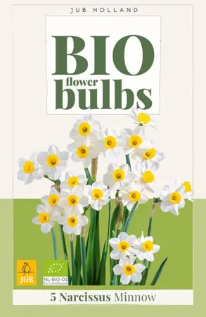 Biologische narcissenbollen 'Minnow' - 5 stuks