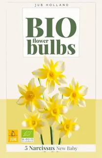Biologische narcissenbollen 'New Baby' - 5 stuks