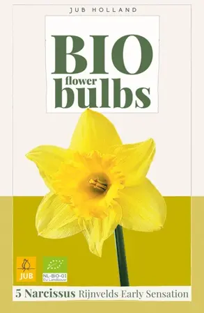 Biologische narcissenbollen 'Rijnvelds Early Sensation' - 5 stuks