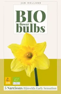 Biologische narcissenbollen 'Rijnvelds Early Sensation' - 5 stuks