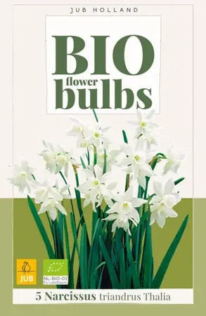 Biologische narcissenbollen 'Triandrus Thalia' - 5 stuks