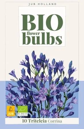 Biologische Triteleia 'Corrina' - 10 stuks