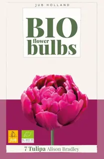 Biologische tulpenbollen 'Alison Bradley' - 7 stuks