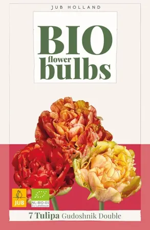 Biologische tulpenbollen 'Gudoshnik Double' - 7 stuks