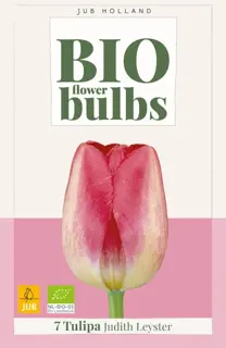 Biologische tulpenbollen 'Judith Leyster' - 7 stuks