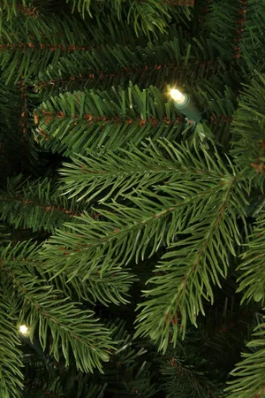 Black Box Trees Kunstkerstboom Brampton Slim - H155cm met ledverlichting - afbeelding 3