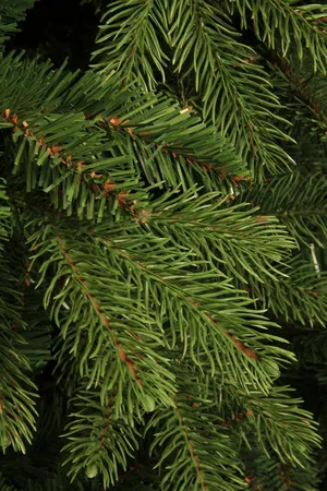 Black Box Trees Kunstkerstboom Brampton Slim - H185cm - afbeelding 4