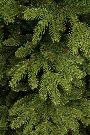 Kunstkerstboom Brampton