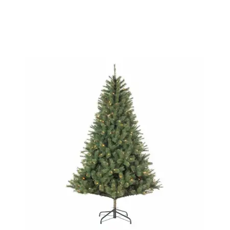 Black Box Trees Kunstkerstboom Carmanah - H155cm met ledverlichting