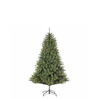 Black Box Trees Kunstkerstboom Carmanah - H155cm met ledverlichting